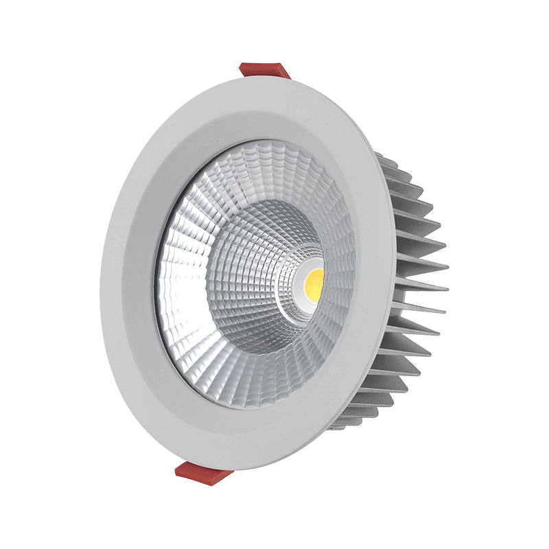 Downlight del LED CVNS00033