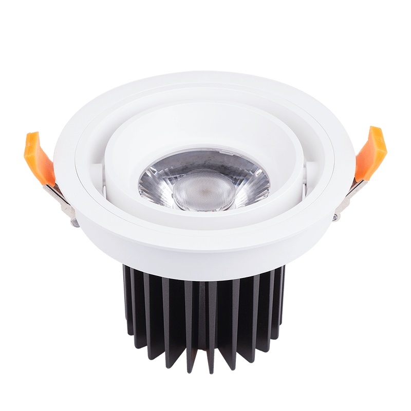 LED Downlight CVNS00001