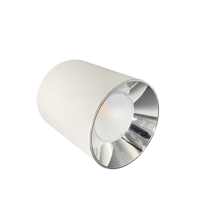 LED Opbouw Downlight CVNS00066