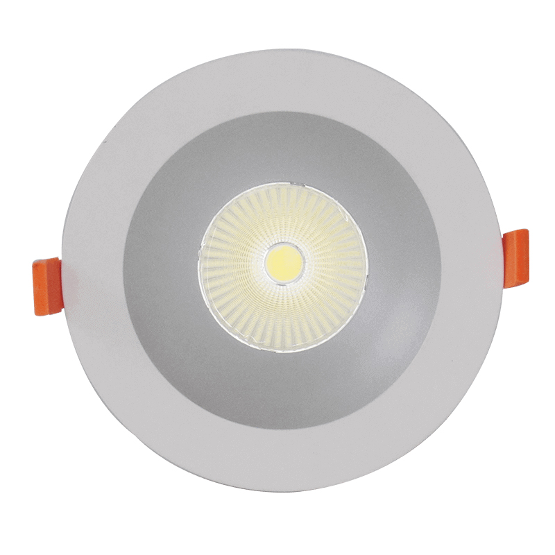 LED Downlight CVNS00036