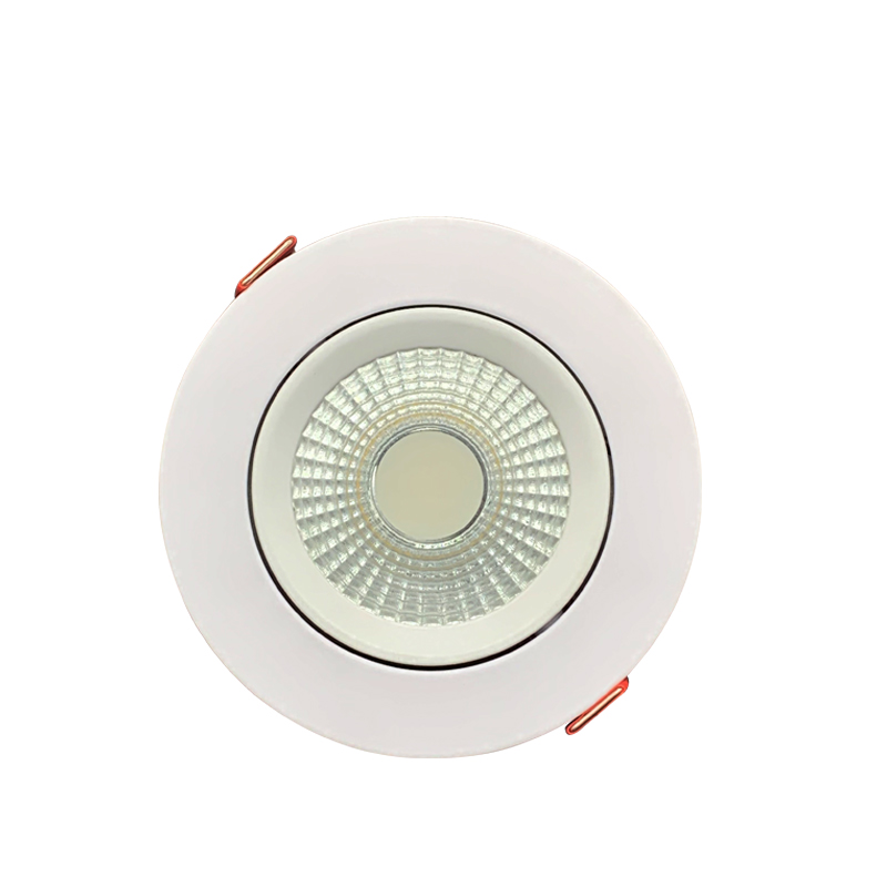 LED Downlight CVNS00027