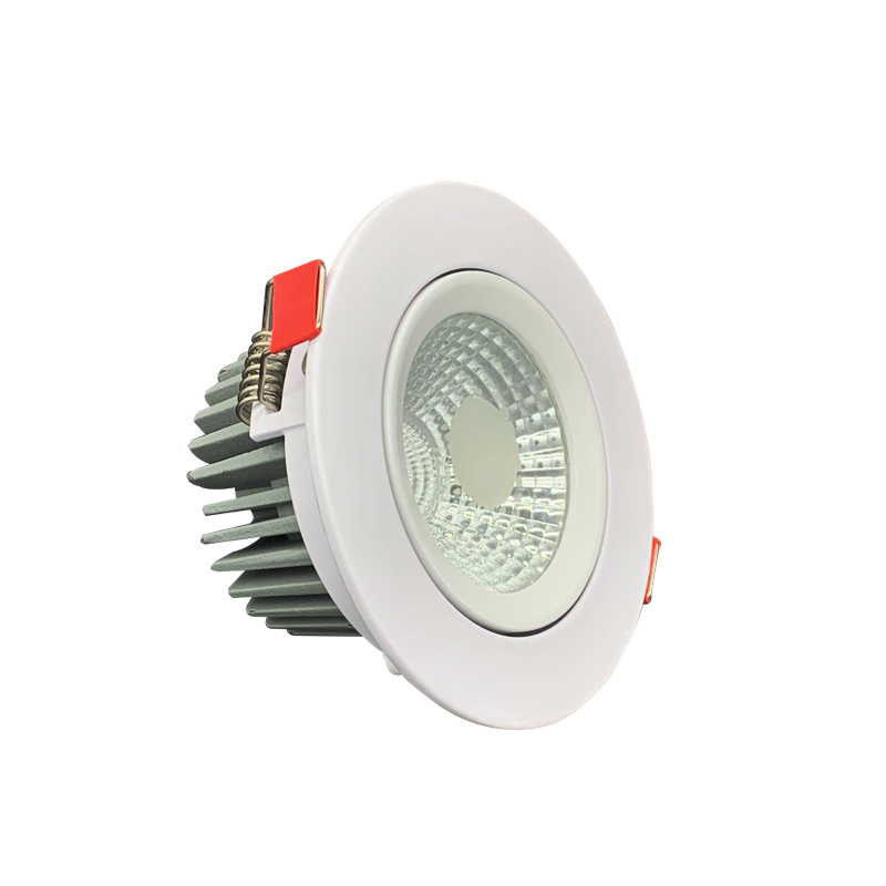 LED Downlight CVNS00027